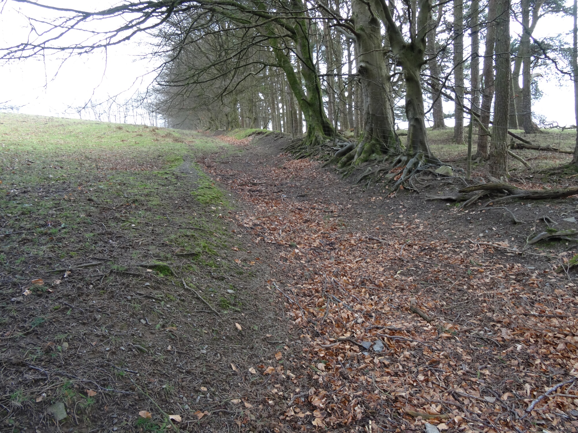 RachelSeabrook.net | Wild Walking | Ponterwyd and Pen Dihewyd | pic02